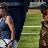 Karolina Muchova et Naomi Osaka vont s'affronter pour le titre en finale du WTA 500 de Bad Homburg 2026 (Getty Images)
