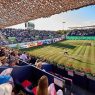 Le tournoi ATP 250 de Majorque se déroule du 21 au 27 juin 2026 (Getty Images)