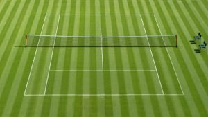 La saison sur gazon débute sur le circuit (Wimbledon)