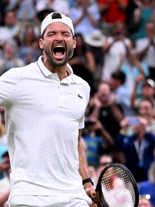 Grigor Dimitrov s'est qualifié pour le troisième tour de Wimbledon 2026 (ATP Tour)